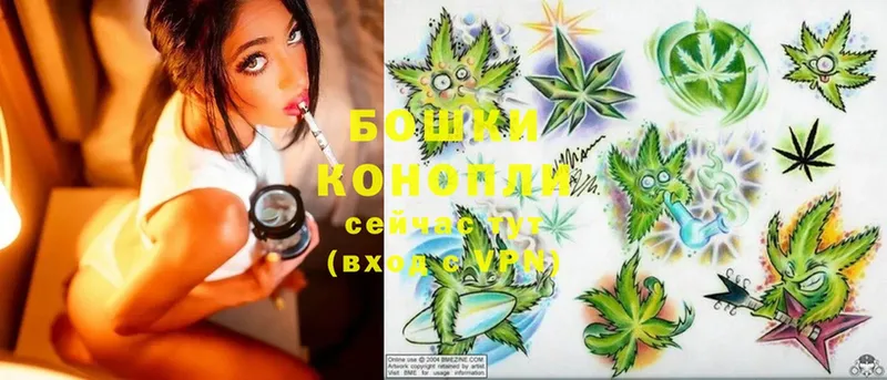 где можно купить   Кузнецк  Каннабис SATIVA & INDICA 